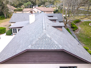 Drone roof level of roof view, shrubs, chimney